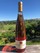2019 Savannah's Rosé di Pinot Noir - View 1