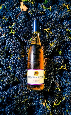 2018 Savannah's Rosé di Pinot Noir