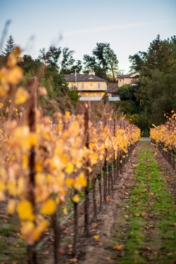 2015 and 2016 Library Wine Package